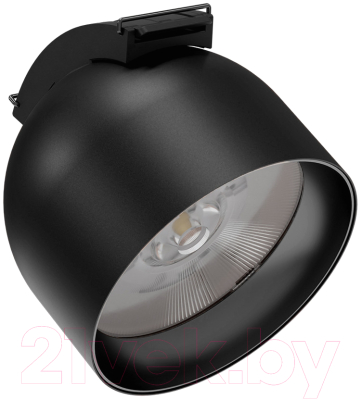 Трековый светильник Kinklight Сатори 6428.19 (черный)