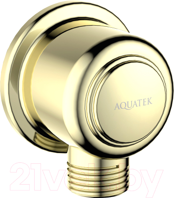 Подключение для душевого шланга Aquatek AQ2461PG (золото)