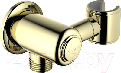 Подключение для душевого шланга Aquatek AQ2462PG (золото)