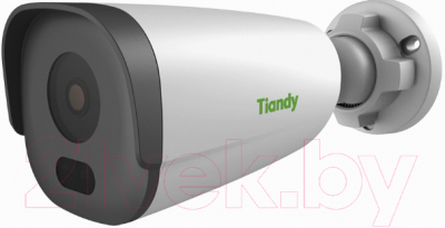 IP-камера Tiandy TC-C34GS I5/E/Y/C/SD/2.8mm//V4.2