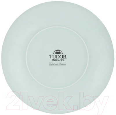 Тарелка закусочная (десертная) Tudor England TUB230704