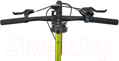 Детский велосипед Maxiscoo 5Bike 20 M 2024 / MSC-M5-2001 (фреш лайм)
