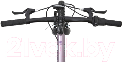 Детский велосипед Maxiscoo 5Bike 20 L 2024 / MSC-M5-2003 (розовый сапфир)
