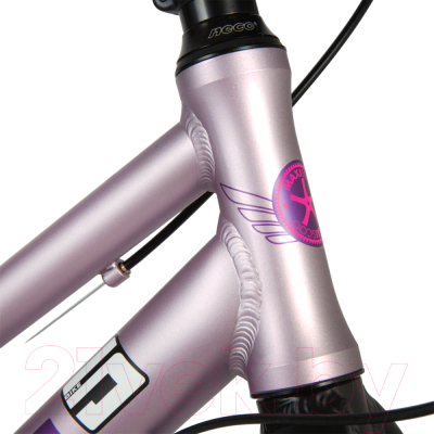 Велосипед Maxiscoo 5Bike 24 L 2024 / MSC-M5-2403 (розовый сапфир)