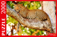 Пазл РЫЖИЙ КОТ Изящный леопард на дереве / ШТП2000-2707 - 