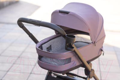 Детская универсальная коляска Carrello Omega Plus 2 в 1 / CRL-6540 (Galaxy Pink)