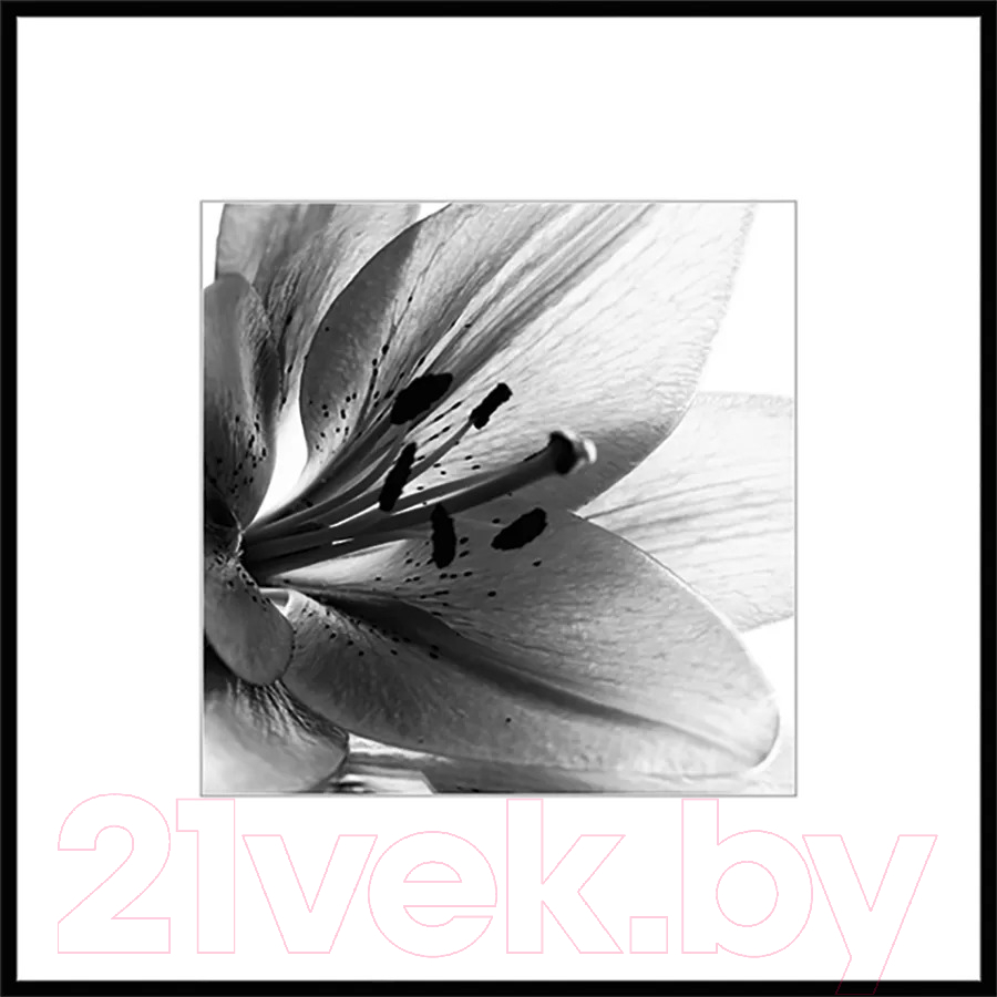 Картина на стекле Stamprint Листья 1 BW007 (50x50)