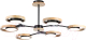 Миниатюра изображения товара Люстра Ambrella FL51619/6 BK/LW