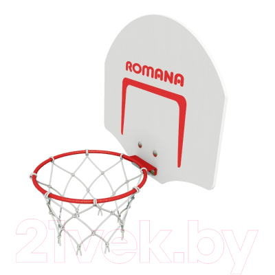 Баскетбольный щит Romana 1.Д-04.03