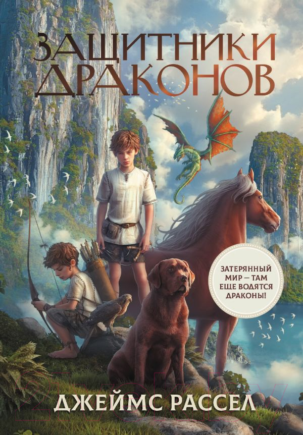 Художественная книга АСТ Защитники драконов / 9785171459437 (Рассел Дж.)