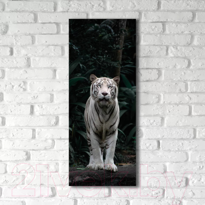 Картина на стекле Stamprint Белый тигр AN019 (125x50)