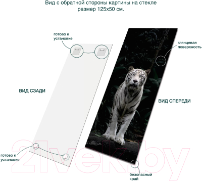 Картина на стекле Stamprint Белый тигр AN019 (125x50)