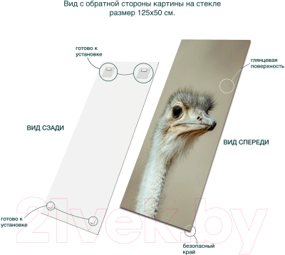 Картина на стекле Stamprint Удивленный взгляд AN021 (125x50)