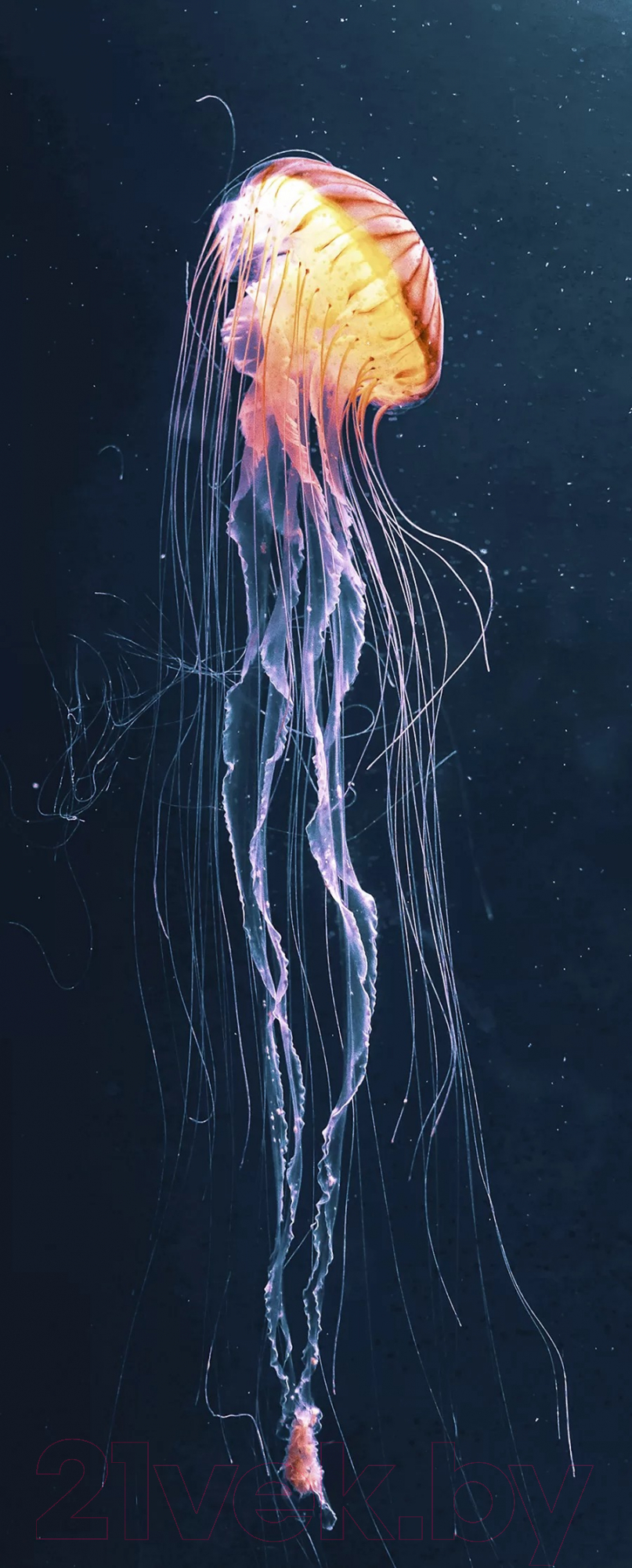 Картина на стекле Stamprint Свет медузы AN022