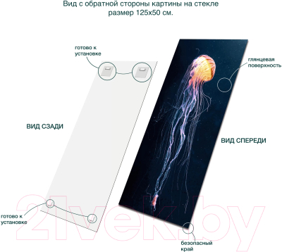 Картина на стекле Stamprint Свет медузы AN022 (125x50)