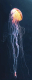 Картина на стекле Stamprint Свет медузы AN022 (125x50) - 
