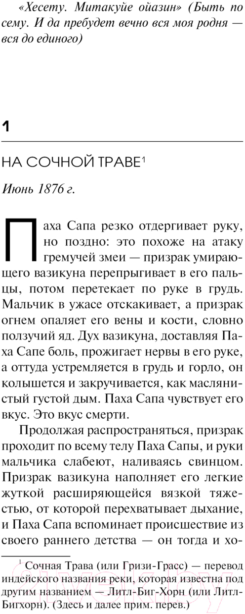 Художественная книга АСТ Черные холмы / 9785171526160 (Симмонс Д.) — фото 6