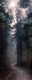 Картина на стекле Stamprint Лесная тропа NT026 (125x50) - 