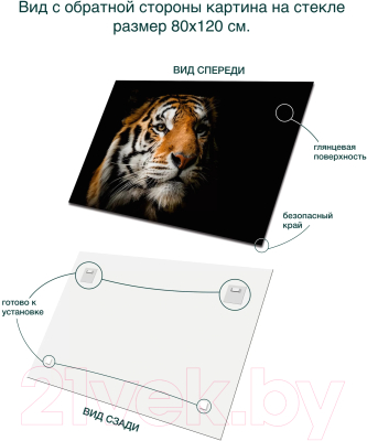 Картина на стекле Stamprint Солнечный тигр AN016 (80x120)