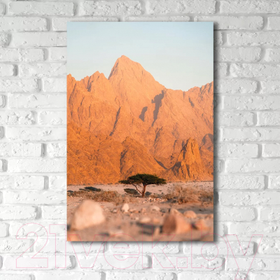 Картина на стекле Stamprint В пустыне NT031 (120x80)