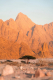 Картина на стекле Stamprint В пустыне NT031 (120x80) - 