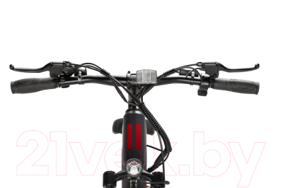 Электровелосипед Tribe Alpha V2 29, 240Вт, 10Ач (черный)