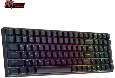 Клавиатура Royal Kludge RK100 RGB (черный, Red Switch)