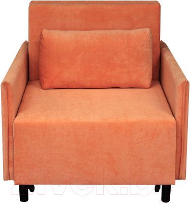 Кресло-кровать Домовой Визит-3 1 (80) (Cordroy 101)