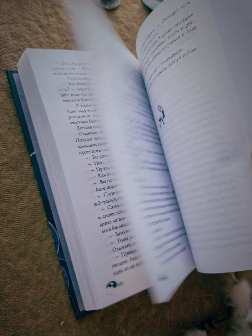 Художественная книга Черным-бело Лихо. Двенадцать железных цепей / 9785041971427 (Лехчина Я.) — фото 2