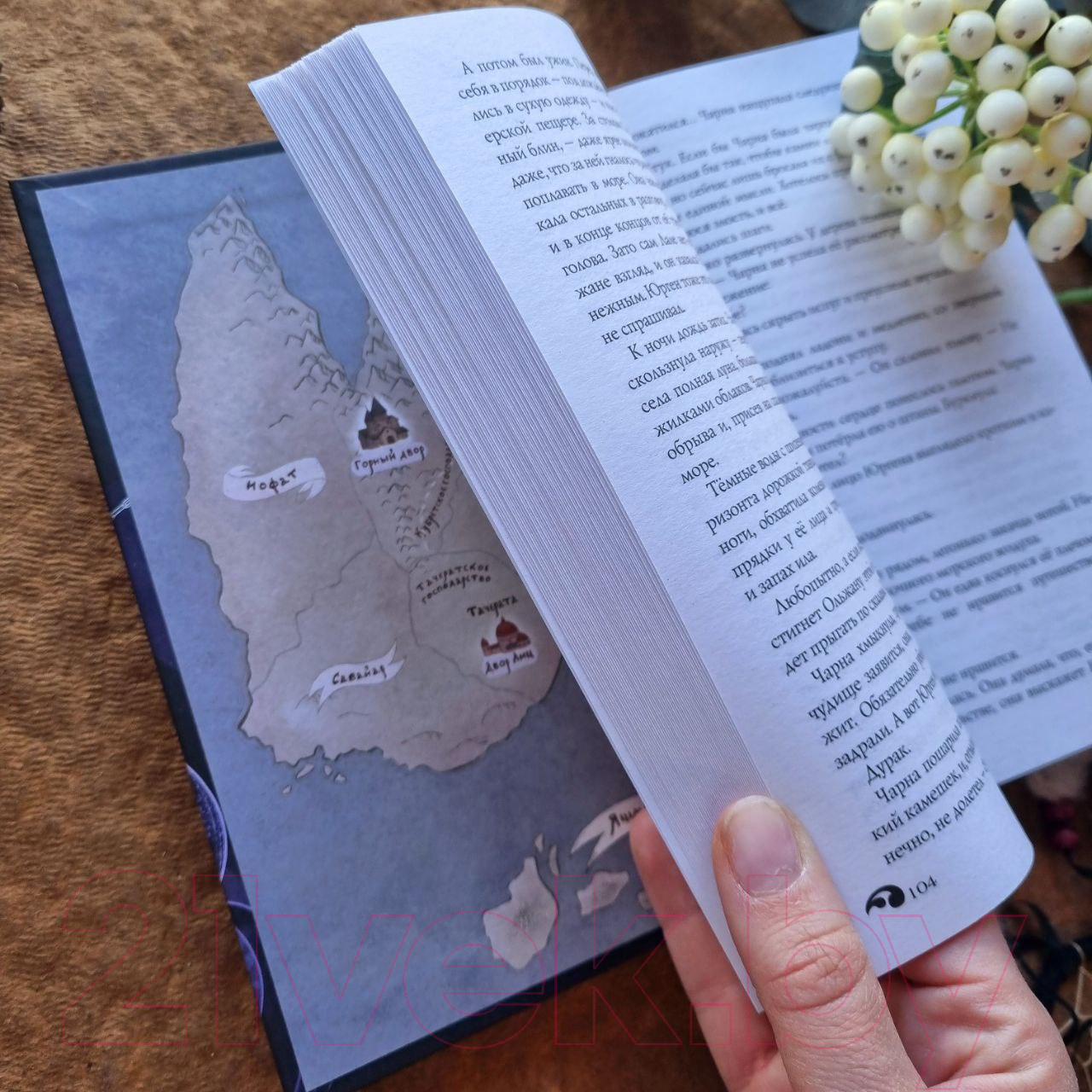 Художественная книга Черным-бело Лихо. Двенадцать железных цепей / 9785041971427 (Лехчина Я.) — фото 3
