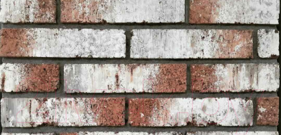 Декоративный камень бетонный РокСтоун Tsegla Рузенбергский кирпич 905П (красный)