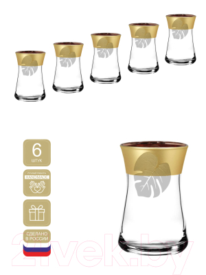 Набор стаканов для горячих напитков Promsiz ERAN424-361/S/Z/6/I (монстера)