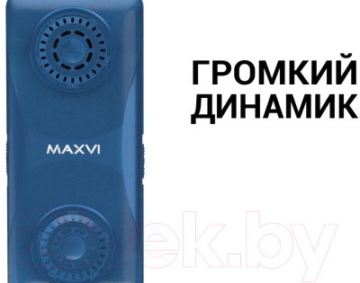 Мобильный телефон Maxvi P110 (черный)