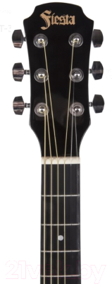 Акустическая гитара Aria Fiesta FST-300 BK