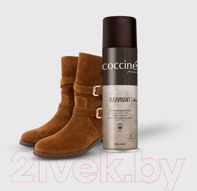 Краска для обуви Coccine Ravvivant Spray (250мл, красный)