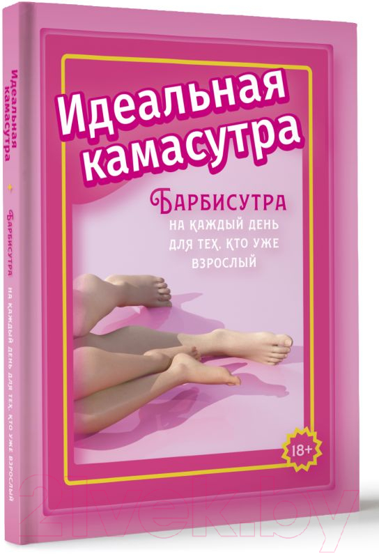 Нехудожественная книга АСТ Идеальная камасутра / 9785171602437 (Мэйз А.) — фото 2