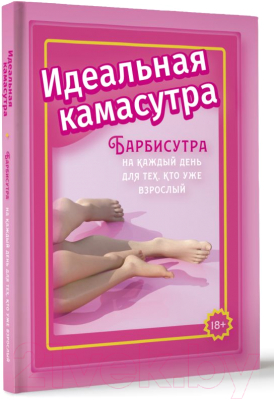 Книга АСТ Идеальная камасутра / 9785171602437 (Мэйз А.)