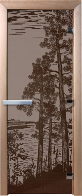 Стеклянная дверь для бани/сауны Doorwood Рассвет 70x190 / DW02834 (графит матовый)