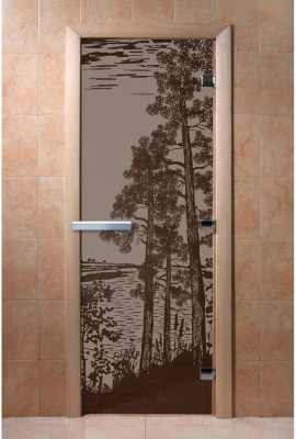 Стеклянная дверь для бани/сауны Doorwood Рассвет 70x190 / DW02834 (графит матовый)