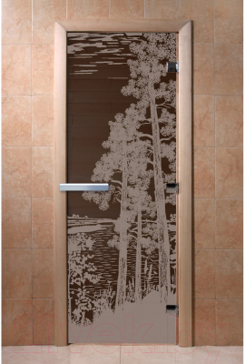 Стеклянная дверь для бани/сауны Doorwood Рассвет 70x190 / DW02930 (графит)