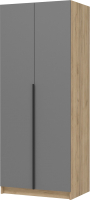 Шкаф Стендмебель Лион ШК-01 2-х створчатый (графит серый/дуб крафт золото) - 