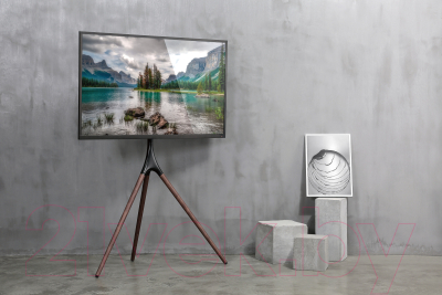 Изображение товара Стойка для ТВ/аппаратуры Cactus CS-ST1246BKWN (черный/орех)