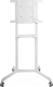 Миниатюра изображения товара Стойка для ТВ/аппаратуры Cactus CS-ST1146WT (белый)