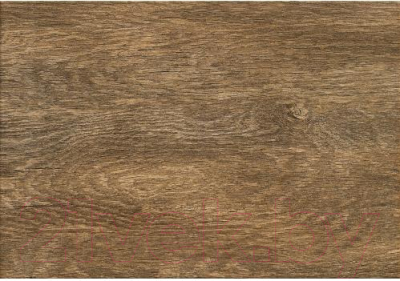 Плитка Tubadzin Magnetia Wood (250x360)