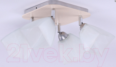 Спот TK Lighting TKC1203