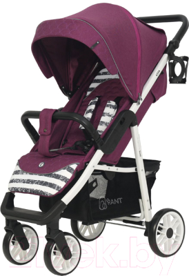 Детская прогулочная коляска Rant Vega Trends / RA057 (Lines Purple)