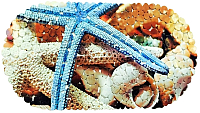

Коврик для ванной Deluxe, SPA 1-124