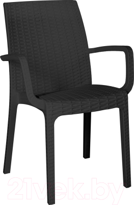 Стул пластиковый Ellastik Plast Rattan Ola Dom