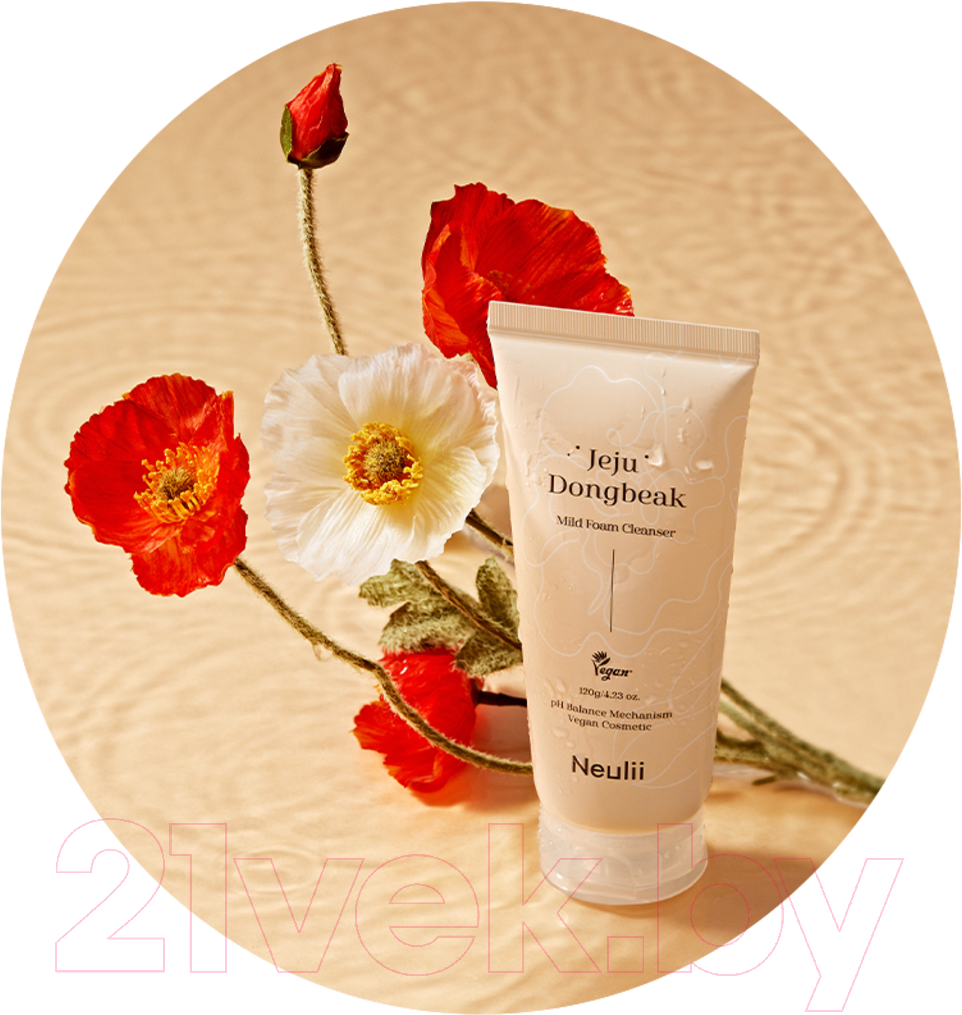 Пенка для умывания Neulii Jeju Dongbeak Mild Foam Cleanser С экстрактом камелии