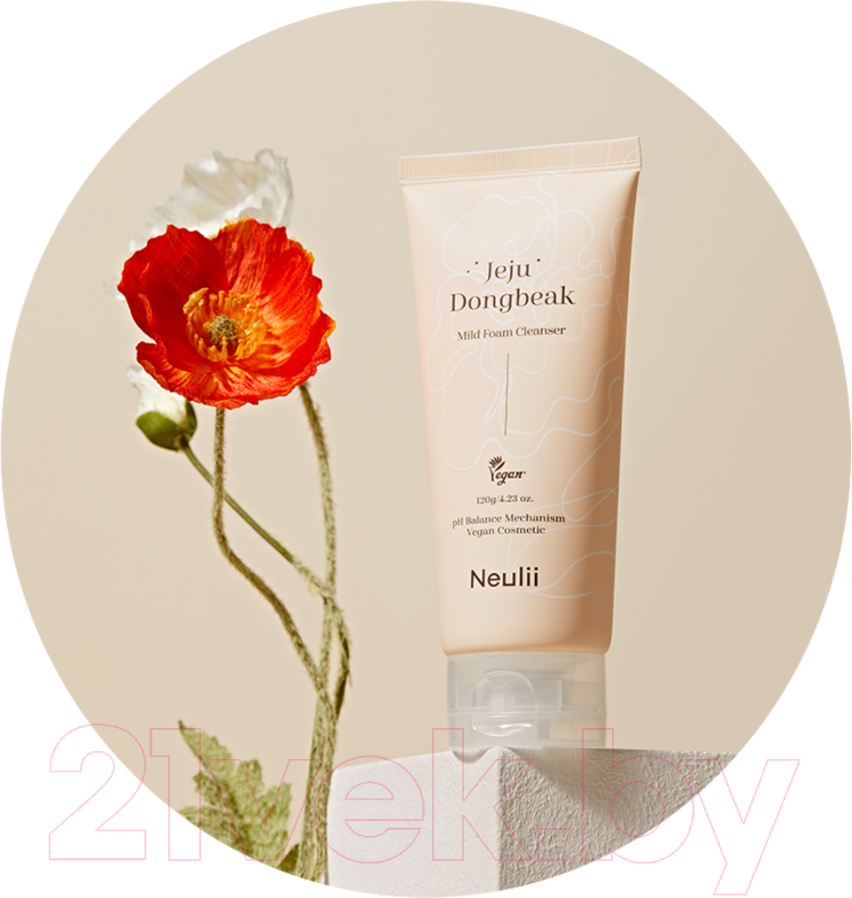 Пенка для умывания Neulii Jeju Dongbeak Mild Foam Cleanser С экстрактом камелии